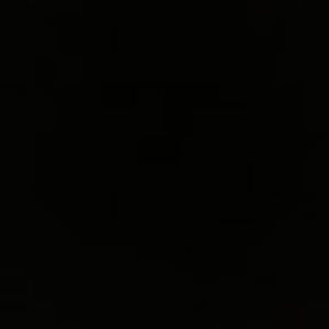 Meet your Posher, Ava